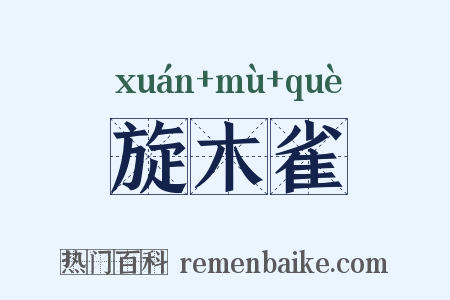 旋木雀是什么意思的图片